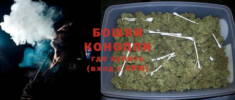 где купить наркотик  Олонец  МЕГА как войти  Бошки марихуана SATIVA & INDICA 